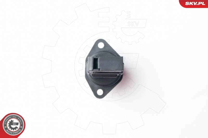 Mass Air Flow Sensor